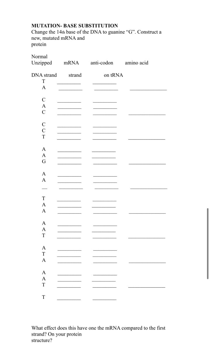 MUTATION-BASE SUBSTITUTION
Change the 14th base of the DNA to guanine "G". Construct a
new, mutated mRNA and
protein
Normal
Unzipped
DNA strand
T
A
C
A
C
CO0
с
A
A
G
A
A
T
A
A
A
A
T
A
T
A
A
A
T
T
mRNA
strand
anti-codon. amino acid
on tRNA
What effect does this have one the mRNA compared to the first
strand? On your protein
structure?