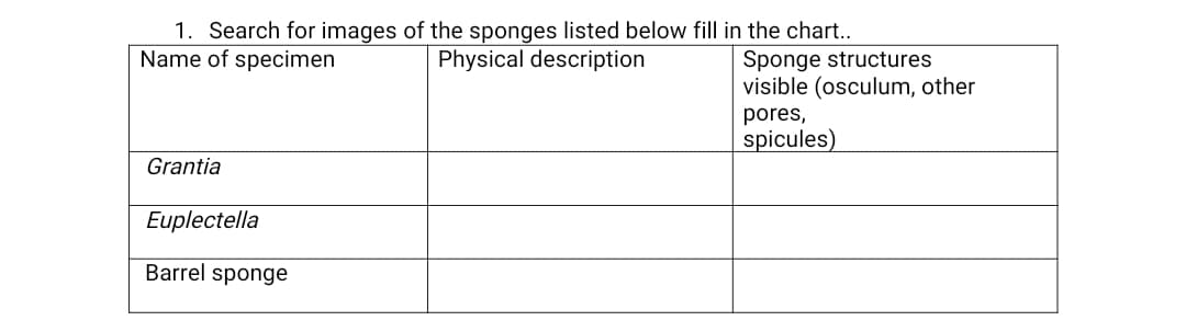 1. Search for images of the sponges listed below fill in the chart..
Name of specimen
Sponge structures
visible (osculum, other
Physical description
pores,
spicules)
Grantia
Euplectella
Barrel sponge
