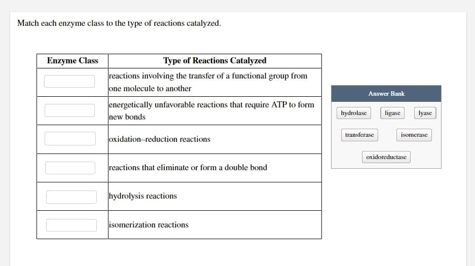 Match each enzyme class to the type of reactions catalyzed.
Enzyme Class
[11][
Type of Reactions Catalyzed
reactions involving the transfer of a functional group from
one molecule to another
energetically unfavorable reactions that require ATP to form
new bonds
oxidation-reduction reactions
reactions that eliminate or form a double bond
hydrolysis reactions
isomerization reactions
hydrolase
Answer Bank
transferase
ligase
lyase
isomerase
oxidoreductase