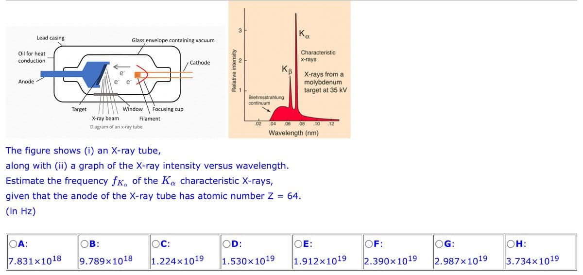 Oil for heat
conduction
Anode
Lead casing
OA:
Target
7.831x1018
Glass envelope containing vacuum
Window Focusing cup
X-ray beam
Diagram of an x-ray tube
OB:
Filament
9.789x1018
Cathode
OC:
Relative intensity
3
2
The figure shows (i) an X-ray tube,
along with (ii) a graph of the X-ray intensity versus wavelength.
Estimate the frequency fk. of the Ka characteristic X-rays,
given that the anode of the X-ray tube has atomic number Z = 64.
(in Hz)
OD:
KB
Brehmsstrahlung
continuum
.02
Ka
Characteristic
x-rays
X-rays from a
molybdenum
target at 35 kV
.04 .06 .08 .10 .12
Wavelength (nm)
OE:
1.224x1019 1.530×1019 1.912×1019
OF:
2.390×1019
OG:
2.987×1019
OH:
3.734x1019