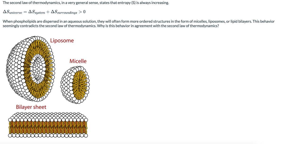 The second law of thermodynamics, in a very general sense, states that entropy (S) is always increasing.
ASuniverse
AS system + AS surroundings > 0
When phospholipids are dispersed in an aqueous solution, they will often form more ordered structures in the form of micelles, liposomes, or lipid bilayers. This behavior
seemingly contradicts the second law of thermodynamics. Why is this behavior in agreement with the second law of thermodynamics?
Liposome
Micelle
Bilayer sheet
