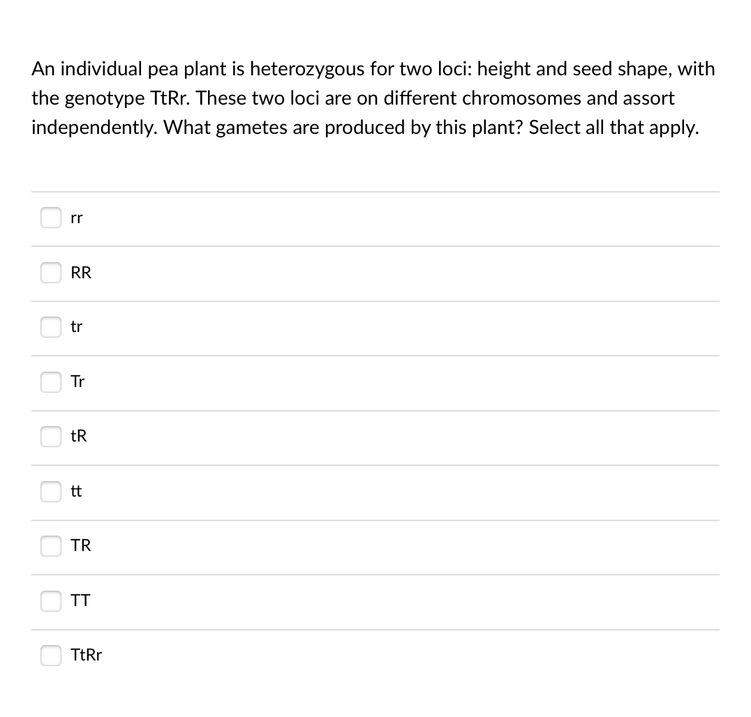 An individual pea plant is heterozygous for two loci: height and seed shape, with
the genotype TtRr. These two loci are on different chromosomes and assort
independently. What gametes are produced by this plant? Select all that apply.
rr
RR
tr
Tr
tR
tt
TR
TT
TtRr

