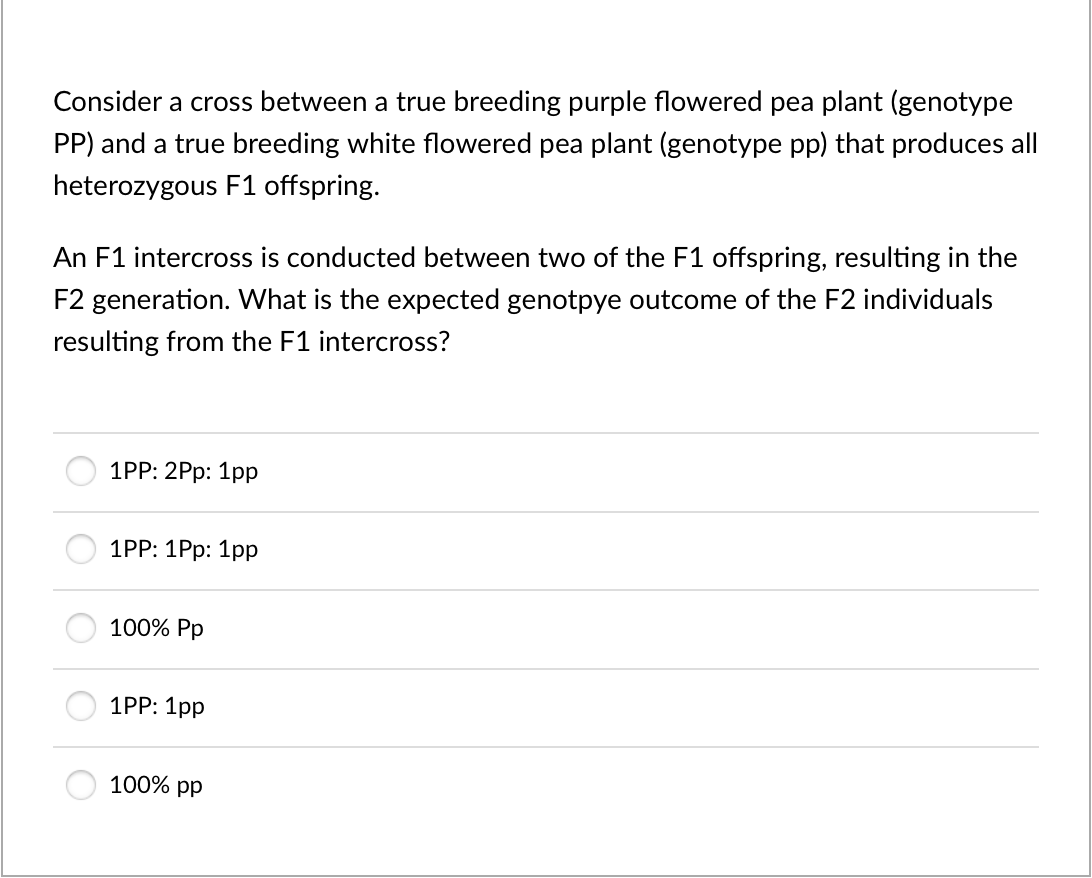 Consider a cross between a true breeding purple flowered pea plant (genotype
PP) and a true breeding white flowered pea plant (genotype pp) that produces all
heterozygous F1 offspring.
An F1 intercross is conducted between two of the F1 offspring, resulting in the
F2 generation. What is the expected genotpye outcome of the F2 individuals
resulting from the F1 intercross?
1PP: 2Pp: 1pp
1PP: 1Рp: 1pp
100% Pp
1PP: 1pp
100% pp
