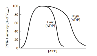 PFK-1 activity (% of Vmax)
100
80
60
40
20
0
T
T
L
High
[ADP]
Low
Pe
[ADP]
[ATP]