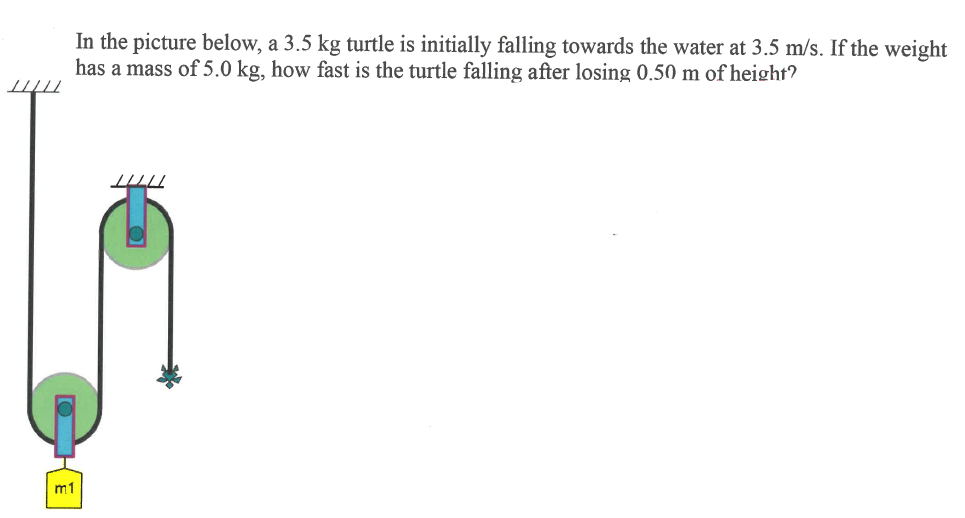 /////
In the picture below, a 3.5 kg turtle is initially falling towards the water at 3.5 m/s. If the weight
has a mass of 5.0 kg, how fast is the turtle falling after losing 0.50 m of height?
m1
////