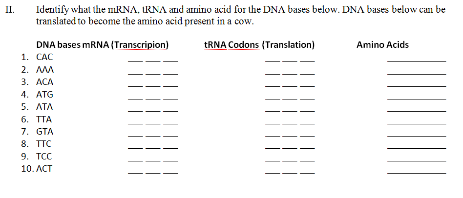 Identify what the mRNA, tRNA and amino acid for the DNA bases below. DNA bases below can be
translated to become the amino acid present in a cow.
II.
DNA bases mRNA (Transcripion)
TRNA Codons (Translation)
Amino Acids
wwwwwww
1. САС
2. АAА
3. АСА
4. ATG
5. АТА
6. TTA
7. GTA
8. TTC
9. TCC
10. ACT
