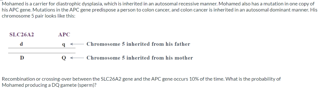 Mohamed is a carrier for diastrophic dysplasia, which is inherited in an autosomal recessive manner. Mohamed also has a mutation in one copy of
his APC gene. Mutations in the APC gene predispose a person to colon cancer, and colon cancer is inherited in an autosomal dominant manner. His
chromosome 5 pair looks like this:
SLC26A2
АРС
d
Chromosome 5 inherited from his father
D
Chromosome 5 inherited from his mother
Recombination or crossing-over between the SLC26A2 gene and the APC gene occurs 10% of the time. What is the probability of
Mohamed producing a DQ gamete (sperm)?
