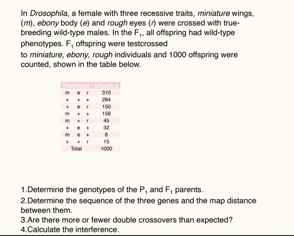 In Drosophila, a female with three recessive traits, miniature wings,
(m), ebony body (e) and rough eyes (r) were crossed with true-
breeding wild-type males. In the F₁, all offspring had wild-type
phenotypes. F₁ offspring were testcrossed
to miniature, ebony, rough individuals and 1000 offspring were
counted, shown in the table below.
Phenotype Offspring
m
e r
310
+
+ +
284
+
er
150
m + +
156
+ r
45
e +
32
m e +
8
15
+ + r
Total
1000
EE+E
m
1.Determine the genotypes of the P₁ and F₁ parents.
1
2.Determine the sequence of the three genes and the map distance
between them.
3.Are there more or fewer double crossovers than expected?
4.Calculate the interference.