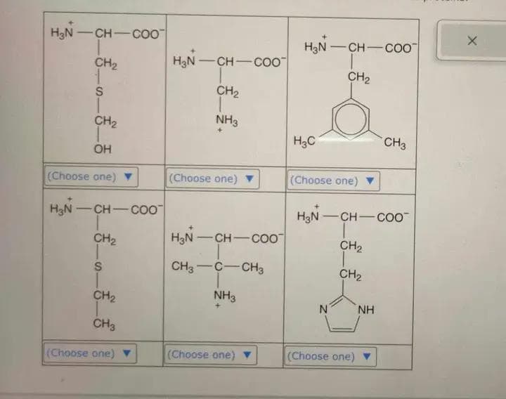 H₂N-CH-COO™
CH₂
1
S.
H₂N-
CH₂
OH
(Choose one)
CH-COO
S
_—_—__„_—__€²°
CH₂
CH₂
CH3
(Choose one)
H₂N-CH-COO
CH₂
NH3
+
(Choose one)
H₂N-CH-COO
CH3 C CH3
NH3
(Choose one)
H₂N-CH-COO
CH₂
H₂C
(Choose one)
H₂N-CH-COO™
CH₂
T
CH₂
N
(Choose one)
CH3
NH
X