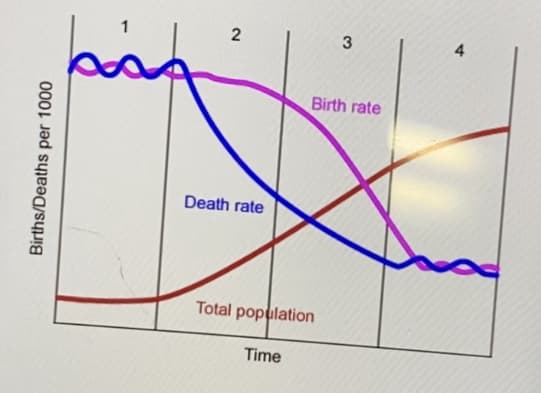 4
Birth rate
Death rate
Total population
Time
Births/Deaths per 1000
