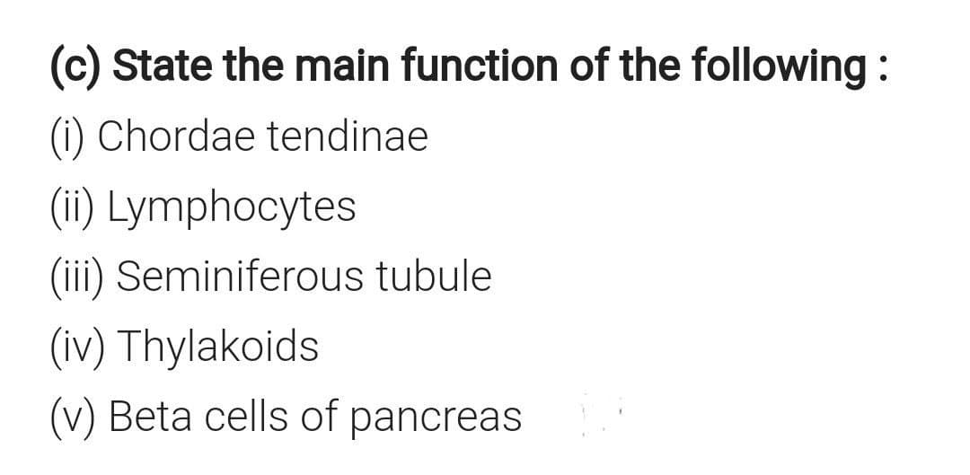 (c) State the main function of the following :
(i) Chordae tendinae
(i) Lymphocytes
(iii) Seminiferous tubule
(iv) Thylakoids
(v) Beta cells of pancreas
