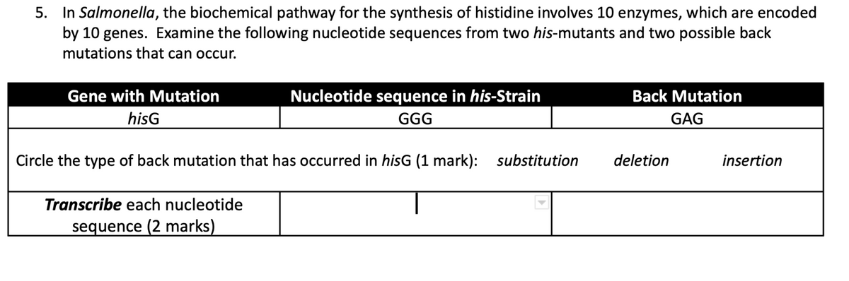 5. In Salmonella, the biochemical pathway for the synthesis of histidine involves 10 enzymes, which are encoded
by 10 genes. Examine the following nucleotide sequences from two his-mutants and two possible back
mutations that can occur.
Gene with Mutation
hisG
Nucleotide sequence in his-Strain
GGG
Circle the type of back mutation that has occurred in hisG (1 mark): substitution
Transcribe each nucleotide
sequence (2 marks)
Back Mutation
GAG
deletion
insertion
