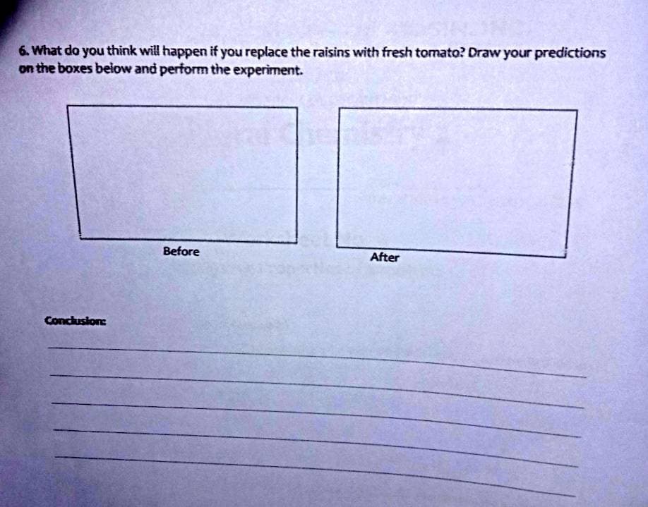 6. What do you think will happen if you replace the raisins with fresh tomato? Draw your predictions
on the boxes beiow and perform the experiment.
Before
After
Conclusion:
