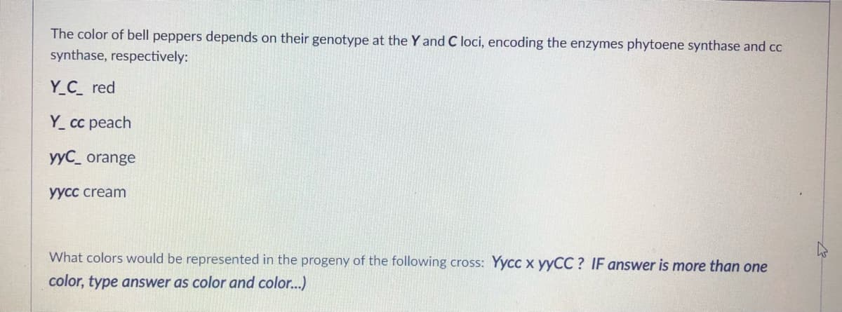 The color of bell peppers depends on their genotype at the Y and C loci, encoding the enzymes phytoene synthase and cc
synthase, respectively:
Y_C red
Y. сс реach
yyC_ orange
Уусс cream
What colors would be represented in the progeny of the following cross: Yycc x YYCC ? IF answer is more than one
color, type answer as color and color...)
