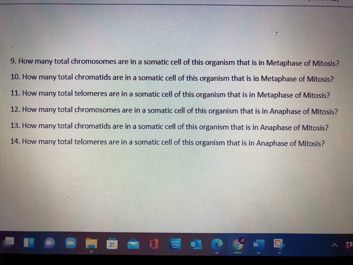 9. How many total chromosomes are in a somatic cell of this organism that is in Metaphase of Mitosis?
10. How many total chromatids are in a somatic cell of this organism that is in Metaphase of Mitosis?
11. How many total telomeres are in a somatic cell of this organism that is in Metaphase of Mitosis?
12. How many total chromosomes are in a somatic cell of this organism that is in Anaphase of Mitosis?
13. How many total chromatids are in a somatic cell of this organism that is in Anaphase of Mitosis?
14. How many total telomeres are in a somatic cell of this organism that is in Anaphase of Mitosis?
prne
wi
