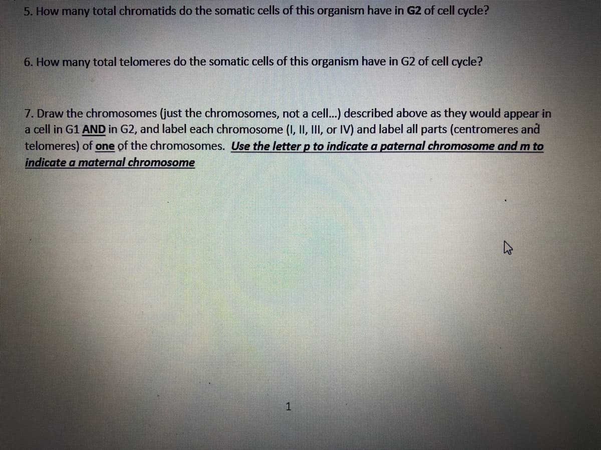 5. How many total chromatids do the somatic cells of this organism have in G2 of cell cycle?
6. How many total telomeres do the somatic cells of this organism have in G2 of cell cycle?
7. Draw the chromosomes (just the chromosomes, not a cell...) described above as they would appear in
a cell in G1 AND in G2, and label each chromosome (I, II, III, or IV) and label all parts (centromeres and
telomeres) of one of the chromosomes. Use the letter p to indicate a paternal chromosome and m to
indicate a maternal chromosome
1
