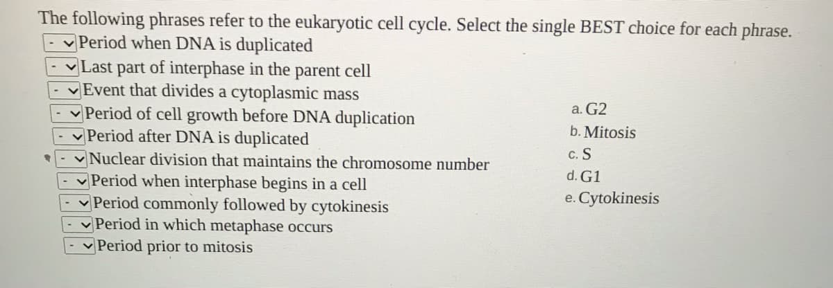 The following phrases refer to the eukaryotic cell cycle. Select the single BEST choice for each phrase.
Period when DNA is duplicated
Last part of interphase in the parent cell
Event that divides a cytoplasmic mass
Period of cell growth before DNA duplication
Period after DNA is duplicated
Nuclear division that maintains the chromosome number
Period when interphase begins in a cell
Period commonly followed by cytokinesis
- Period in which metaphase occurs
Period prior to mitosis
a. G2
b. Mitosis
c. S
d. G1
e. Cytokinesis
