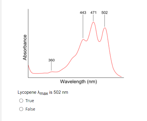 443 471
502
360
Wavelength (nm)
Lycopene Amax is 502 nm
True
False
Absorbance
