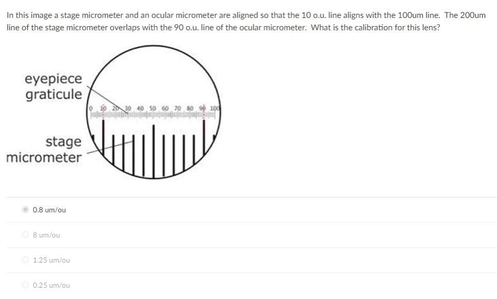 In this image a stage micrometer and an ocular micrometer are aligned so that the 10 o.u. line aligns with the 100um line. The 200um
line of the stage micrometer overlaps with the 90 o.u. line of the ocular micrometer. What is the calibration for this lens?
eyepiece
graticule
40 50 60 70 s0 9 100
stage
micrometer
0.8 um/ou
O 8 um/ou
O 1.25 um/ou
0.25 um/ou
