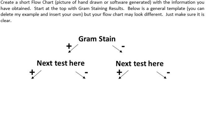 Create a short Flow Chart (picture of hand drawn or software generated) with the information you
have obtained. Start at the top with Gram Staining Results. Below is a general template (you can
delete my example and insert your own) but your flow chart may look different. Just make sure it is
clear.
Gram Stain
Next test here
Next test here