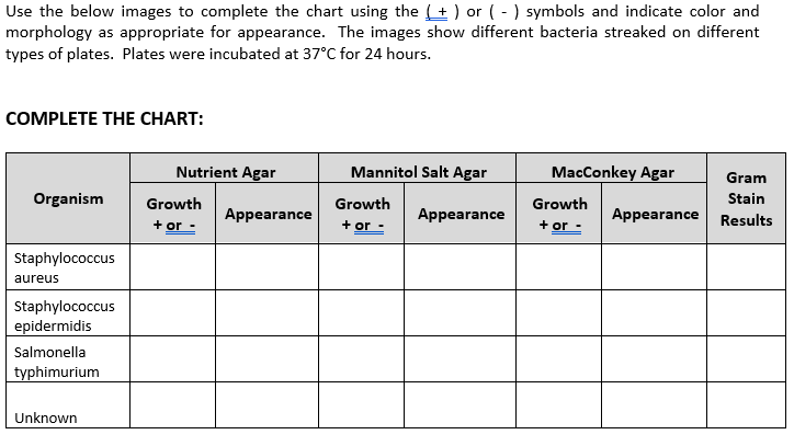 Use the below images to complete the chart using the (+) or (-) symbols and indicate color and
morphology as appropriate for appearance. The images show different bacteria streaked on different
types of plates. Plates were incubated at 37°C for 24 hours.
COMPLETE THE CHART:
Organism
Staphylococcus
aureus
Staphylococcus
epidermidis
Salmonella
typhimurium
Unknown
Nutrient Agar
Growth
+ or -
Appearance
Mannitol Salt Agar
Growth
+ or -
Appearance
MacConkey Agar
Growth
+ or
Appearance
Gram
Stain
Results