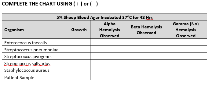 COMPLETE THE CHART USING (+) or (-)
Organism
5% Sheep Blood Agar Incubated 37°C for 48 Hrs
Alpha
Hemolysis
Observed
Enterococcus faecalis
Streptococcus pneumoniae
Streptococcus pyogenes
Strepococcus salivarius
Staphylococcus aureus
Patient Sample
Growth
Beta Hemolysis
Observed
Gamma (No)
Hemolysis
Observed