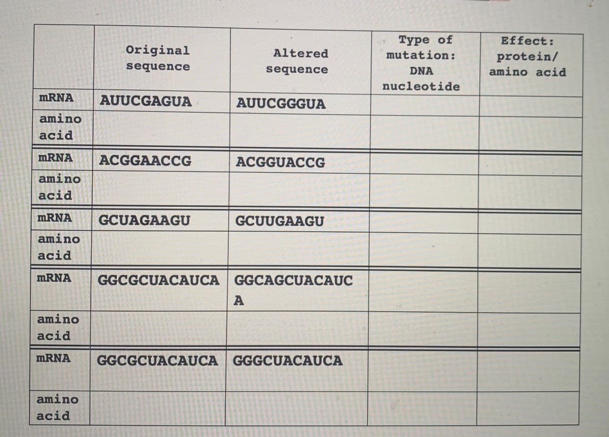 Туре of
mutation:
Effect:
Original
Altered
protein/
amino acid
sequence
sequence
DNA
nucleotide
MRNA
AUUCGAGUA
AUUCGGGUA
amino
acid
MRNA
ACGGAACCG
ACGGUACCG
amino
acid
MRNA
GCUAGAAGU
GCUUGAAGU
amino
acid
MRNA
GGCGCUACAUCA GGCAGCUACAUC
A
amino
acid
MRNA
GGCGCUACAUCA GGGCUACAUCA
amino
acid
