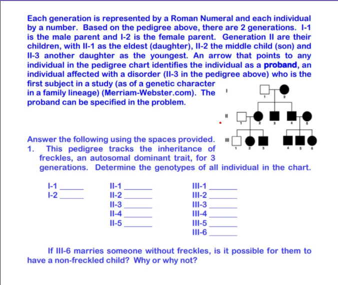 Each generation is represented by a Roman Numeral and each individual
by a number. Based on the pedigree above, there are 2 generations. I-1
is the male parent and l-2 is the female parent. Generation Il are their
children, with Il-1 as the eldest (daughter), Il-2 the middle child (son) and
II-3 another daughter as the youngest. An arrow that points to any
individual in the pedigree chart identifies the individual as a proband, an
individual affected with a disorder (II-3 in the pedigree above) who is the
first subject in a study (as of a genetic character
in a family lineage) (Merriam-Webster.com). The
proband can be specified in the problem.
Answer the following using the spaces provided.
1. This pedigree tracks the inheritance of
freckles, an autosomal dominant trait, for 3
generations. Determine the genotypes of all individual in the chart.
1-1
III-1
II-2
Il-1
1-2
Il-2
Il-3
Il-4
III-3
III-4
Il-5
III-5
III-6
If III-6 marries someone without freckles, is it possible for them to
have a non-freckled child? Why or why not?
