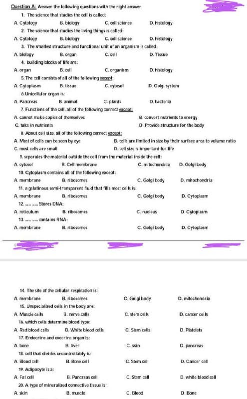 Question A: Answer the following questions with the right answer
1. The science that studies the cell is called:
A. Cytology
B. blology
C. cell science
2. The science that studies the living things is called:
A. Cytology
C. cell science
B. biology
3. The smallest structure and functional unit of an organism is called:
C. cell
D. Tissue
A. biology
B. organ
4. building blocks of life are:
B. cell
A. organ
5. The cell consists of all of the following except
A. Cytoplasm
B. tissue
6. Unicellular organ is:
A. Pancreas
B. animal
C. plants
7. Functions of the cell, all of the following correct except:
A. cannot make copies of themselves
C. take in nutrients
8. About cell size, all of the following correct except:
A. Mest of cells can be seen by eye
C. most cells are small
B. ribosomes
13......... contains RNA:
A. membrane
B. ribosomes
14. The site of the cellular respiration is:
A. membrane
B. ribosomes
15. Unspecialized cells in the body are:
A. Muscle cells
B. nerve cells
16. which cells determine blood type:
A. Red blood cells
17. Endocrine and cxocrine organ is:
A. bone
B. liver
19. Adipocyte is a:
C. organism
C. cytosol
B. White blood cells
18. cell that divides uncontrollably is:
A. Blood cell
B. Bone cell
B. cells are limited in size by their surface area to volume
lume ratio
D. cell size is important for life
9. separates the material outside the cell from the material inside the cell:
A. cytosol
B. Cell membrane
10. Cytoplasm contains all of the following except:
A. membrane
B. ribosomes
11. a gelatinous semi-transparent fluid that fills most cells is:
A. membrane
B. ribosomes
12......... Stores DNA:
A. reticulum
A. Fat cell
B. Pancreas cell
20. A type of mineralized connective tissue is:
A. skin
B. muscle
D. histology
D. histology
D. histology
B. convert nutrients to energy
D. Provide structure for the body
D. Golgi system
D. bacteria
C. mitochondria D. Golgi body
C. Golgi body
C. Golgi body
C. nucleus
C. skin
C. Golgi body
C. Stem cell
C. Golgi body
C. stem cells
C. Blood
C. Stem cells
C. Stem cell
D. mitochondria
D. Cytoplasm
D. Cytoplasm
D. Cytoplasm
D. mitochondria
D. cancer cells
D. Platelets
D. pancreas
D. Cancer cell
D. white blood cell
D. Bone