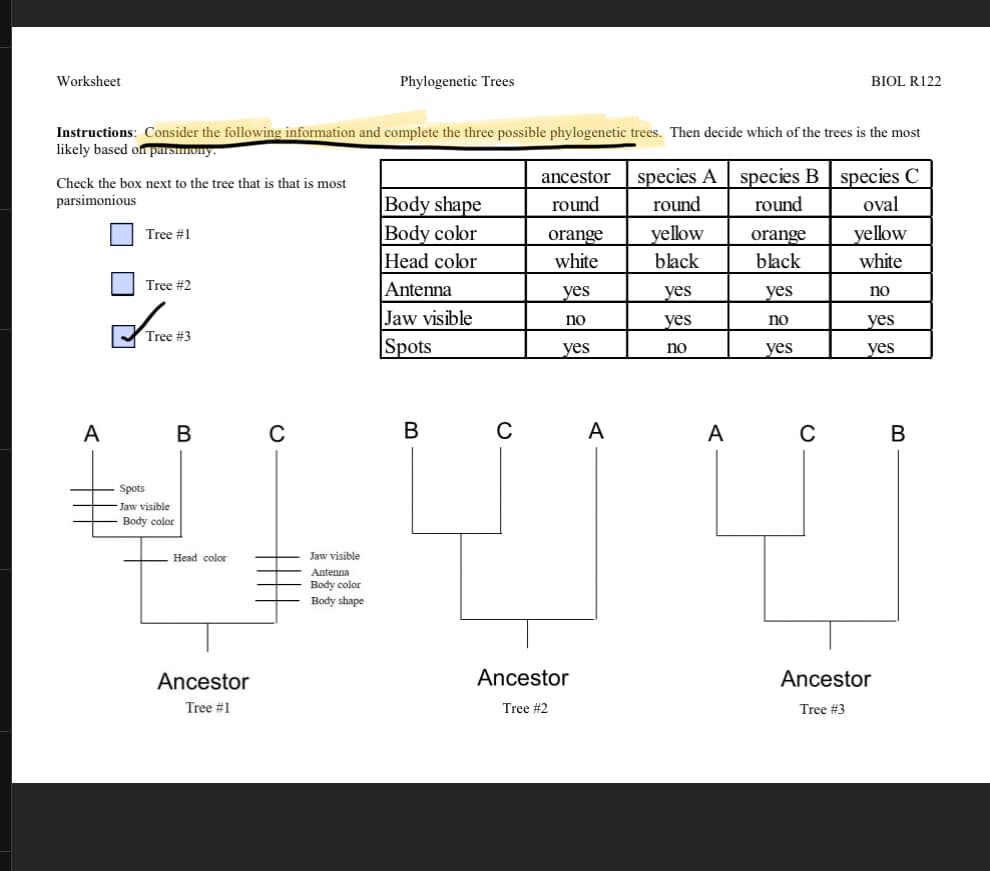 Worksheet
Check the box next to the tree that is that is most
parsimonious
Instructions: Consider the following information and complete the three possible phylogenetic trees. Then decide which of the trees is the most
likely based on parsimony.
A
Tree #1
Tree #2
Tree #3
Spots
Jaw visible
Body color
B
Head color
Ancestor
Tree #1
C
Phylogenetic Trees
Jaw visible
Antenna
Body color
Body shape
Body shape
Body color
Head color
Antenna
Jaw visible
Spots
B
C
ancestor
round
orange
white
yes
no
yes
Ancestor
Tree #2
A
species A
round
yellow
black
yes
yes
no
A
BIOL R122
species B species C
round
oval
yellow
white
no
yes
yes
orange
black
yes
no
yes
C
Ancestor
Tree #3
B