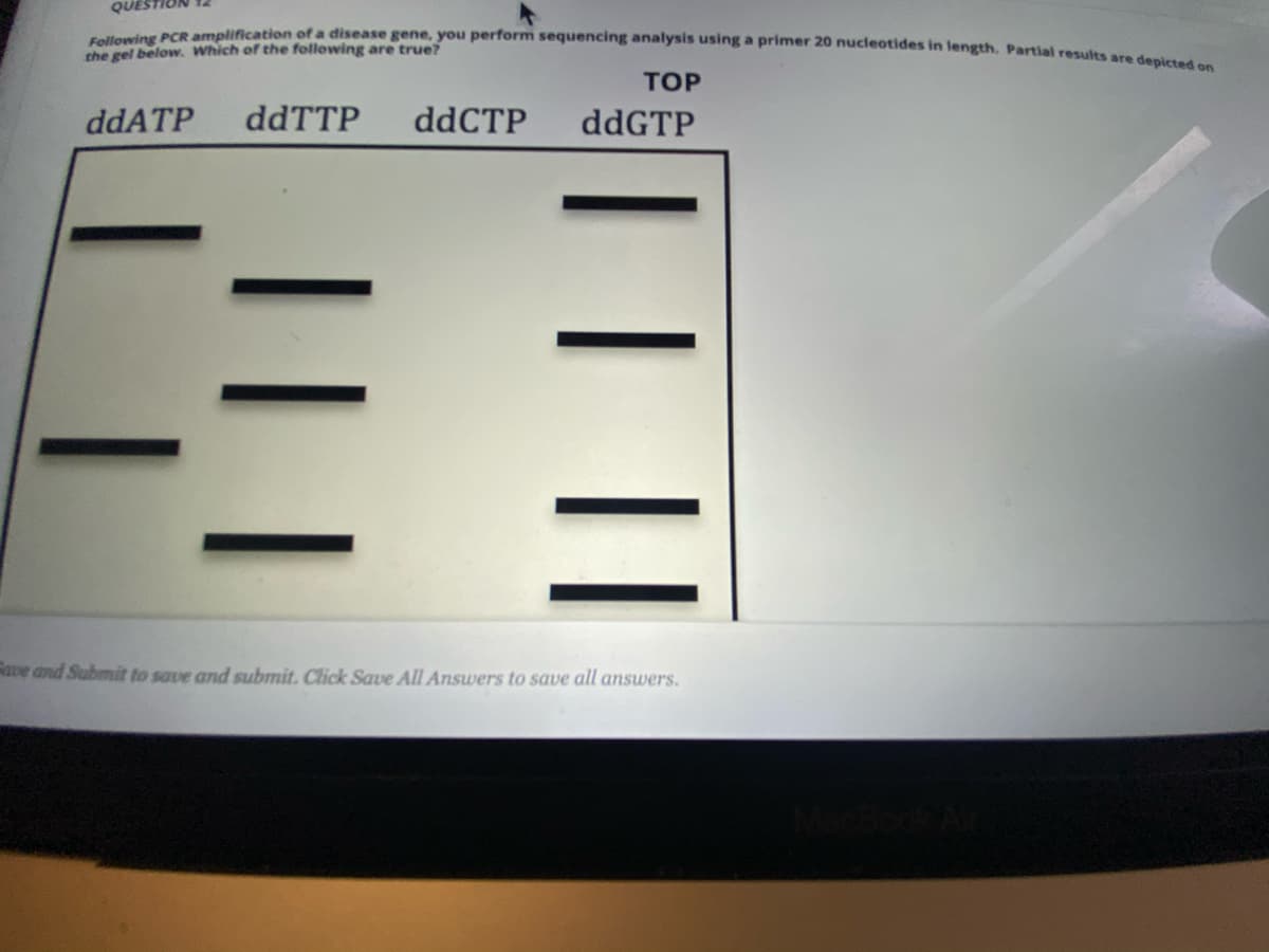 Following PCR amplification of a disease gene, you perform sequencing analysis using a primer 20 nucleotides in length. Partial results are depicted on
QUEST
the gel below. Which of the following are true?
ТOР
ddATP
ddTTP
ddCTP
ddGTP
ave and Submit to save and submit. Click Save All Answers to save all answers.
|| |
