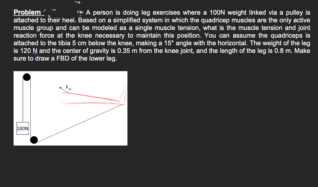 Problem
A person is doing leg exercises where a 100N weight linked via a pulley is
attached to their heel. Based on a simplified system in which the quadricep muscles are the only active
muscle group and can be modeled as a single muscle tension, what is the muscle tension and joint
reaction force at the knee necessary to maintain this position. You can assume the quadriceps is
attached to the tibia 5 cm below the knee, making a 15° angle with the horizontal. The weight of the leg
is 120 N and the center of gravity is 0.35 m from the knee joint, and the length of the leg is 0.8 m. Make
sure to draw a FBD of the lower leg.
100N
Fm