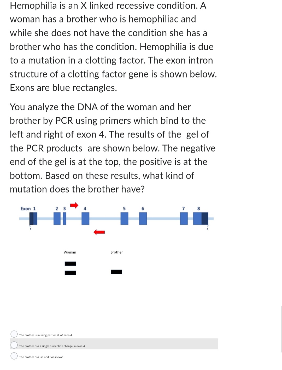 Hemophilia is an X linked recessive condition. A
woman has a brother who is hemophiliac and
while she does not have the condition she has a
brother who has the condition. Hemophilia is due
to a mutation in a clotting factor. The exon intron
structure of a clotting factor gene is shown below.
Exons are blue rectangles.
You analyze the DNA of the woman and her
brother by PCR using primers which bind to the
left and right of exon 4. The results of the gel of
the PCR products are shown below. The negative
end of the gel is at the top, the positive is at the
bottom. Based on these results, what kind of
mutation does the brother have?
Exon 1
Woman
The brother is missing part or all of exon 4
The brother has a single nucleotide change in exon 4
The brother has an additional exon
5
Brother
6
7
8