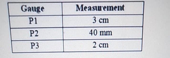 Gauge
Measurement
P1
3 сm
P2
40 mm
P3
2 cm
