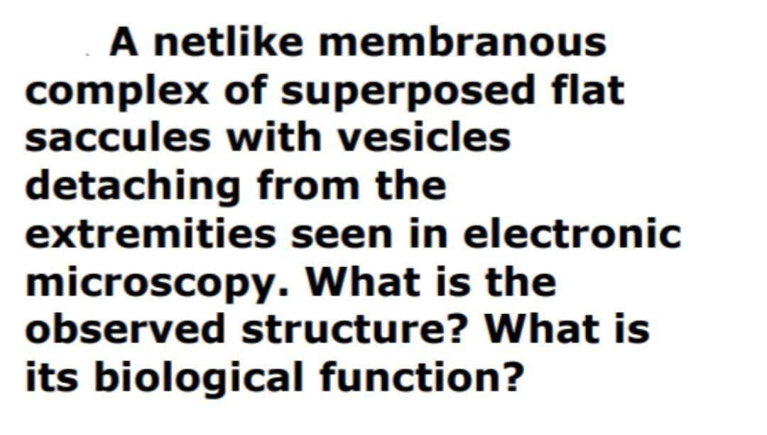 A netlike membranous
complex of superposed flat
saccules with vesicles
detaching from the
extremities seen in electronic
microscopy. What is the
observed structure? What is
its biological function?
