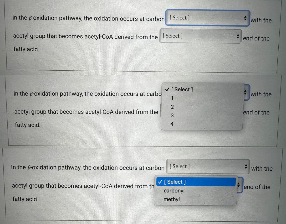 In the ß-oxidation pathway, the oxidation occurs at carbon [Select]
acetyl group that becomes acetyl-CoA derived from the [Select ]
fatty acid.
In the p-oxidation pathway, the oxidation occurs at carbo
acetyl group that becomes acetyl-CoA derived from the
fatty acid.
✓ [Select ]
1
acetyl group that becomes acetyl-CoA derived from th
fatty acid.
234
In the p-oxidation pathway, the oxidation occurs at carbon [Select]
✓ [Select]
carbonyl
methyl
+
with the
end of the
with the
end of the
with the
Ben
end of the