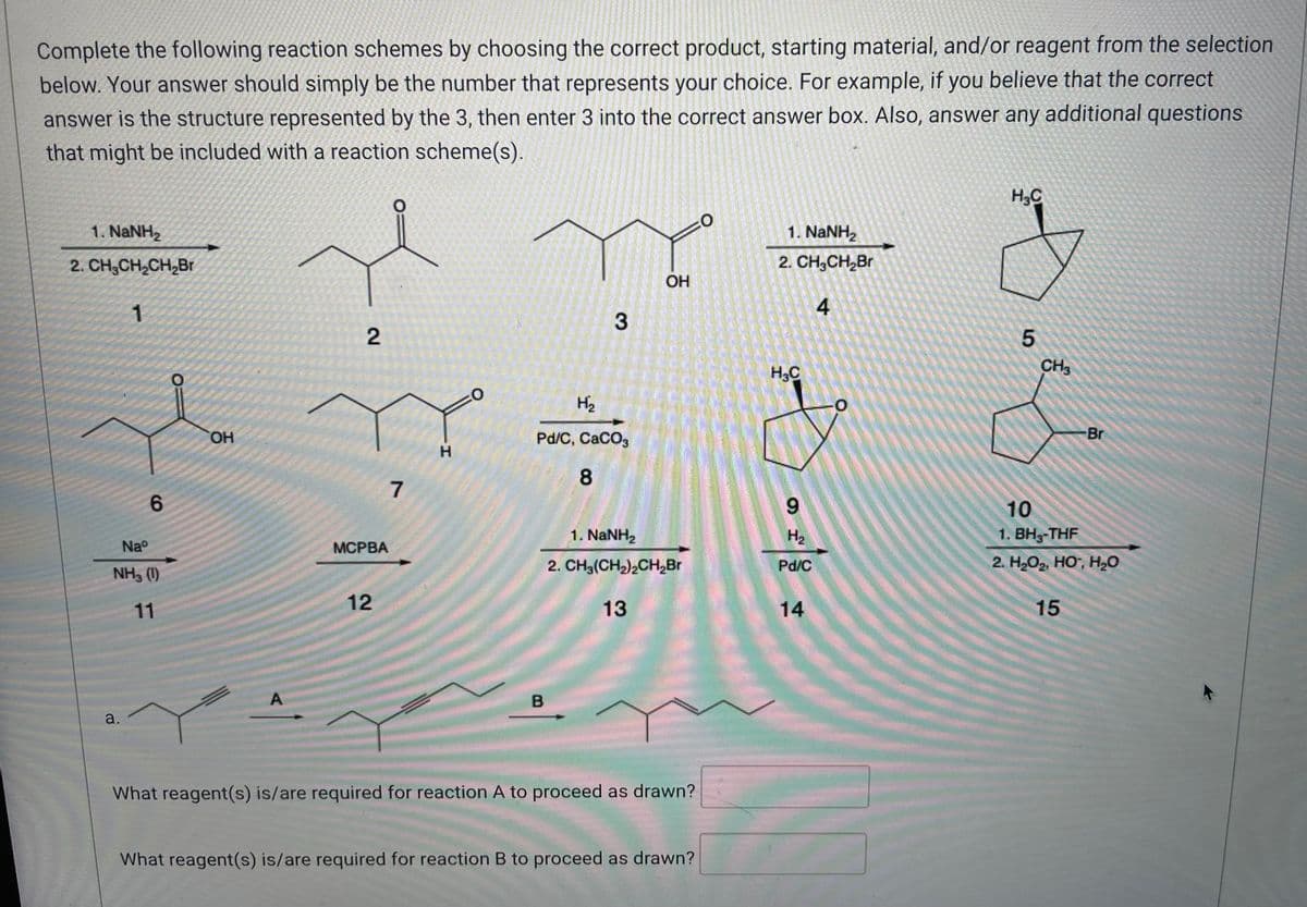 Complete the following reaction schemes by choosing the correct product, starting material, and/or reagent from the selection
below. Your answer should simply be the number that represents your choice. For example, if you believe that the correct
answer is the structure represented by the 3, then enter 3 into the correct answer box. Also, answer any additional questions
that might be included with a reaction scheme(s).
H₂C
0
1. NaNH,
1. NaNH,
2. CH₂CH₂CH₂Br
2. CH₂CH₂Br
OH
1
4
3
2
5
O
6
Naº
NH3 (1)
11
OH
7
7
XXXXXXXXX
E RUTINE
H
H₂
Pd/C, CaCO3
8
1. NaNHz
2. CH₂(CH₂)₂CH₂Br
13
MCPBA
12
A
B
a.
What reagent(s) is/are required for reaction A to proceed as drawn?
What reagent(s) is/are required for reaction B to proceed as drawn?
H₂C
9
H₂
Pd/C
14
-0
CH3
Br
10
1. BH-THF
2. H,O2, HỌ, H,O
15