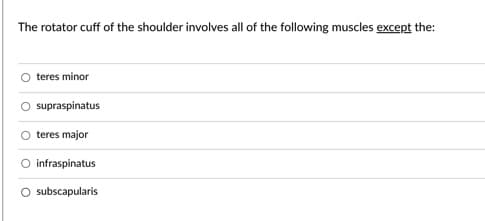 The rotator cuff of the shoulder involves all of the following muscles except the:
teres minor
supraspinatus
teres major
O infraspinatus
subscapularis

