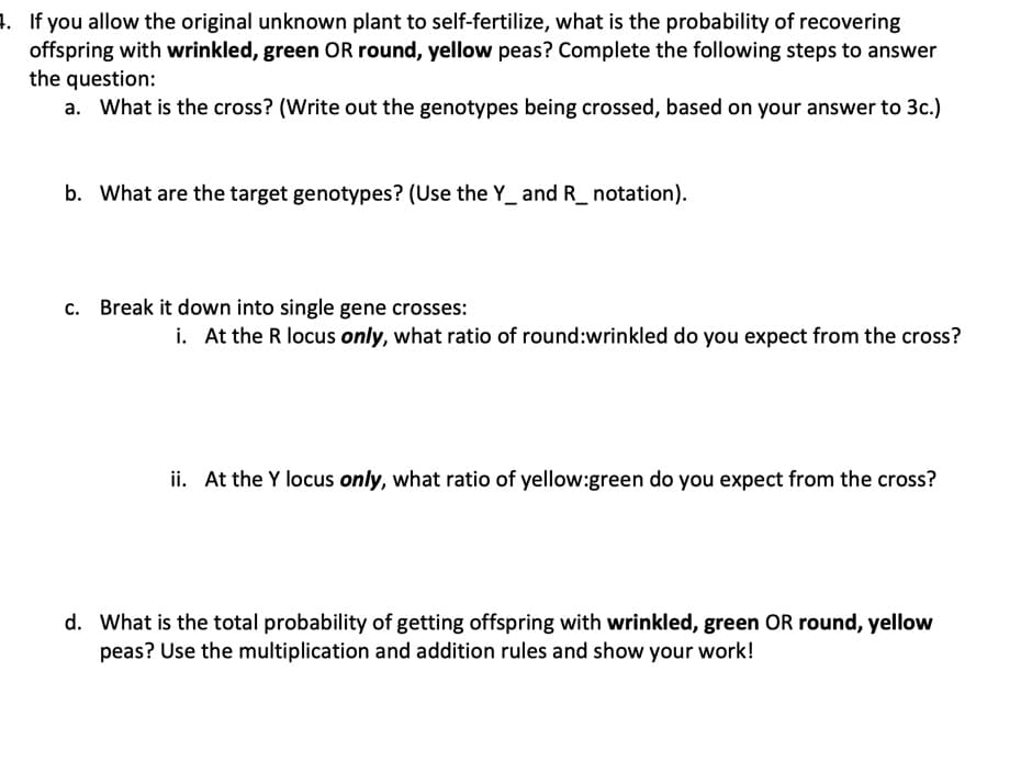 1. If you allow the original unknown plant to self-fertilize, what is the probability of recovering
offspring with wrinkled, green OR round, yellow peas? Complete the following steps to answer
the question:
a. What is the cross? (Write out the genotypes being crossed, based on your answer to 3c.)
b. What are the target genotypes? (Use the Y_ and R_ notation).
c. Break it down into single gene crosses:
i. At the R locus only, what ratio of round:wrinkled do you expect from the cross?
ii. At the Y locus only, what ratio of yellow:green do you expect from the cross?
d. What is the total probability of getting offspring with wrinkled, green OR round, yellow
peas? Use the multiplication and addition rules and show your work!
