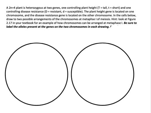 A 2n=4 plant is heterozygous at two genes, one controlling plant height (T = tall, t= short) and one
controlling disease resistance (D = resistant, d = susceptible). The plant height gene is located on one
chromosome, and the disease resistance gene is located on the other chromosome. In the cells below,
draw to two possible arrangements of the chromosomes at metaphse I of meiosis. Hint: look at Figure
2.17 in your textbook for an example of how chromosomes can be arranged at metaphase I. Be sure to
label the alleles present at the genes on the two chromosomes in each drawing.
00
