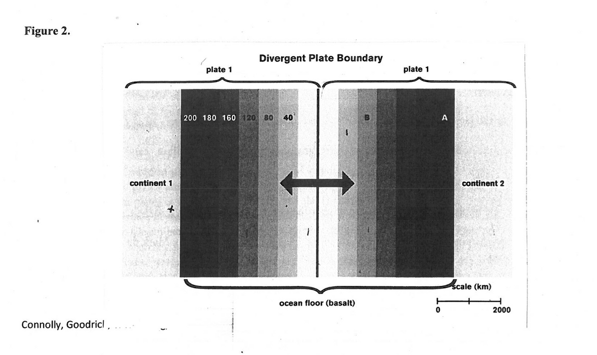 Figure 2.
Connolly, Goodricl,
continent 1
f
plate 1
Divergent Plate Boundary
200 180 160 120 80 40
1
ocean floor (basalt)
plate 1
0
A
continent 2
scale (km)
2000