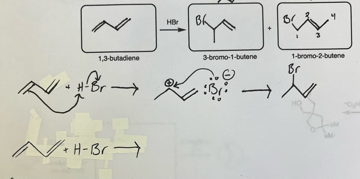 V
1,3-butadiene
H-Br
T
HBr
+ H-Br →→
вк
→→
Bri
3-bromo-1-butene
B
3
Br
4
1-bromo-2-butene
GM³
+0₂H
