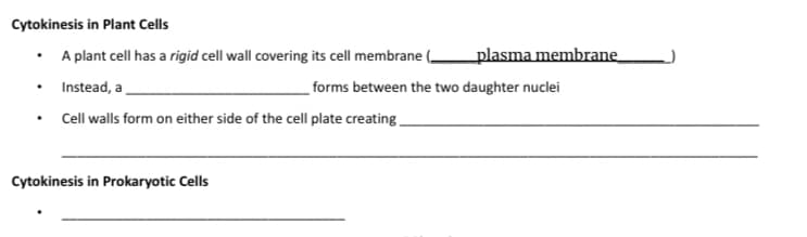 Cytokinesis in Plant Cells
• A plant cell has a rigid cell wall covering its cell membrane ( _plasma membrane
Instead, a
forms between the two daughter nuclei
Cell walls form on either side of the cell plate creating.
Cytokinesis in Prokaryotic Cells