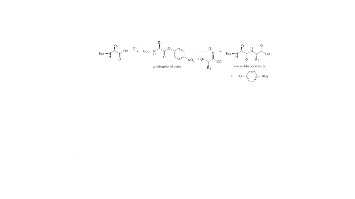 R1
R.
[1]
[2]
Вос — N
Bọc-N
H.
Bọc-
OR
NO2 H2N.
R2
OR
p-nitrophenyl oster
new amide bond in red
-NO2

