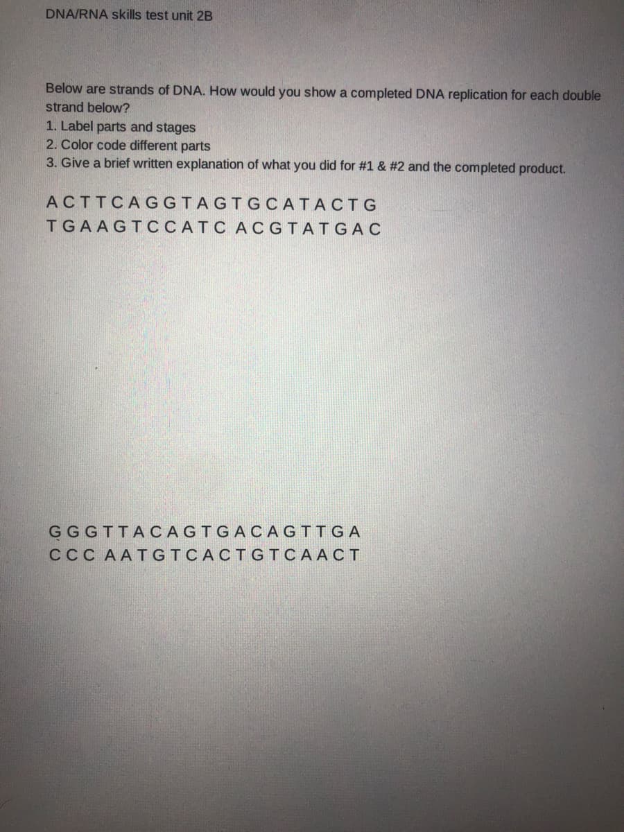 DNA/RNA skills test unit 2B
Below are strands of DNA. How would you show a completed DNA replication for each double
strand below?
1. Label parts and stages
2. Color code different parts
3. Give a brief written explanation of what you did for #1 & #2 and the completed product.
ACTTCAGGTAGTGCATACTG
TGAAGTCCATC ACGTATGAC
GGGTTACAGTGACAGTTGA
CCC AATGTCACTGTCAACT

