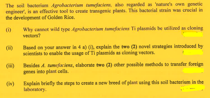 The soil bacterium Agrobacterium tumefaciens, also regarded as 'nature's own genetic
engineer', is an effective tool to create transgenic plants. This bacterial strain was crucial in
the development of Golden Rice.
(i)
(ii)
(iii)
(iv)
Why cannot wild type Agrobacterium tumefaciens Ti plasmids be utilized as cloning
vectors?
Based on your answer in 4 a) (i), explain the two (2) novel strategies introduced by
scientists to enable the usage of Ti plasmids as cloning vectors.
Besides A. tumefaciens, elaborate two (2) other possible methods to transfer foreign
genes into plant cells.
Explain briefly the steps to create a new breed of plant using this soil bacterium in the
laboratory.