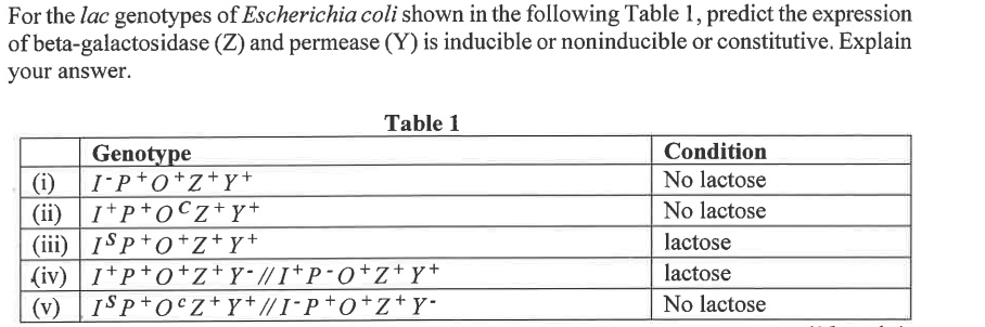 For the lac genotypes of Escherichia coli shown in the following Table 1, predict the expression
of beta-galactosidase (Z) and permease (Y) is inducible or noninducible or constitutive. Explain
your answer.
Table 1
Genotype
I-P+O+Z+Y+
(i)
(ii) I+P+OCZ+Y+
(iii) ISP+O+Z+Y+
(iv) I+P+O+Z+Y-//I+P-O+Z+Y+
(v) ISP+OcZ+Y+//I-P+O+Z+Y-
Condition
No lactose
No lactose
lactose
lactose
No lactose