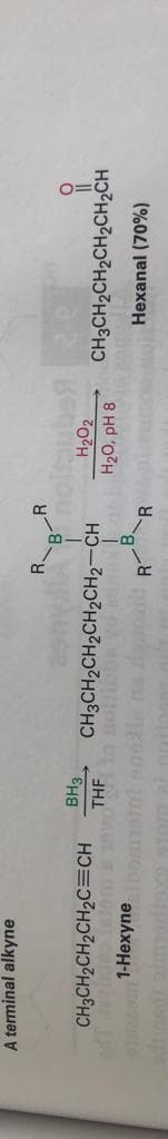 A terminal alkyne
R.
BH3
H202
H20, pH 8
CH3CH2CH2CH2C=CH
CH3CH2CH2CH2CH2-CH
CH3CH2CH2CH2CH2CH
THE
B.
1-Hexyneomstnl nosle na deo
megente
R
Hexanal (70%)
RT
dioxe tonm al onto
