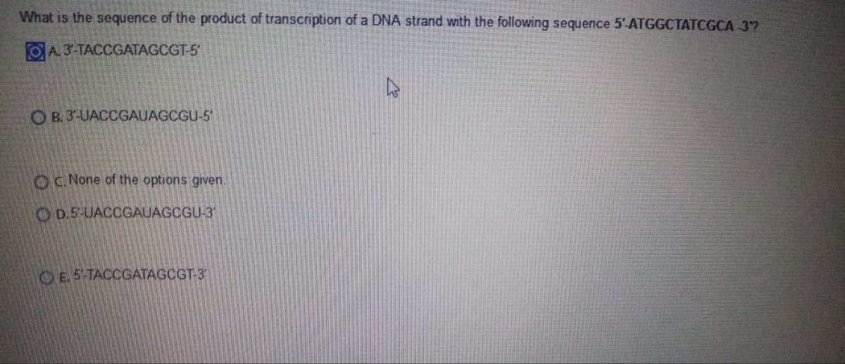 What is the sequence of the product of transcription of a DNA strand with the following sequence 5'-ATGGCTATCGCA-3"?
A. 3-TACCGATAGCGT-5
OB. 3-UACCGAUAGCGU-5
OC. None of the options given.
D.5-UACCGAUAGCGU-3
E. 5-TACCGATAGCGT-3