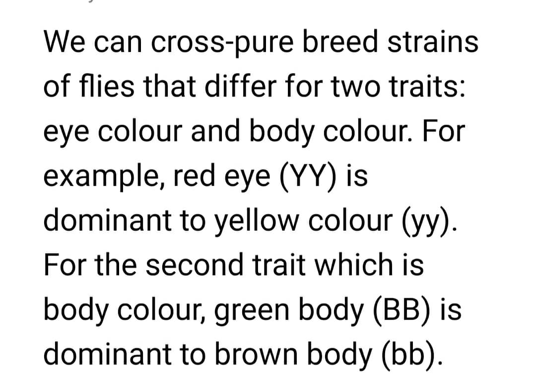 We can cross-pure breed strains
of flies that differ for two traits:
eye colour and body colour. For
example, red eye (YY) is
dominant to yellow colour (yy).
For the second trait which is
body colour, green body (BB) is
dominant to brown body (bb).
